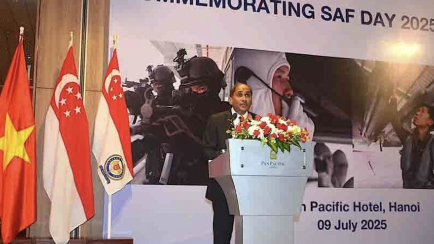 Vietnam, Singapore defence cooperation develops substantively, effectively